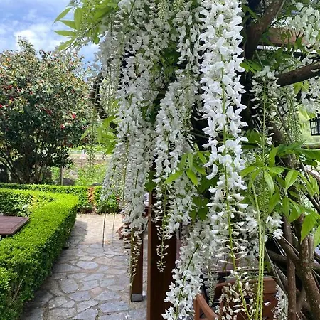 El Balcón Del Eume, Cantina Río Covés 4*