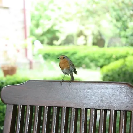 Alojamento de Acomodação e Pequeno-almoço El Balcón Del Eume, Cantina Río Covés 4*