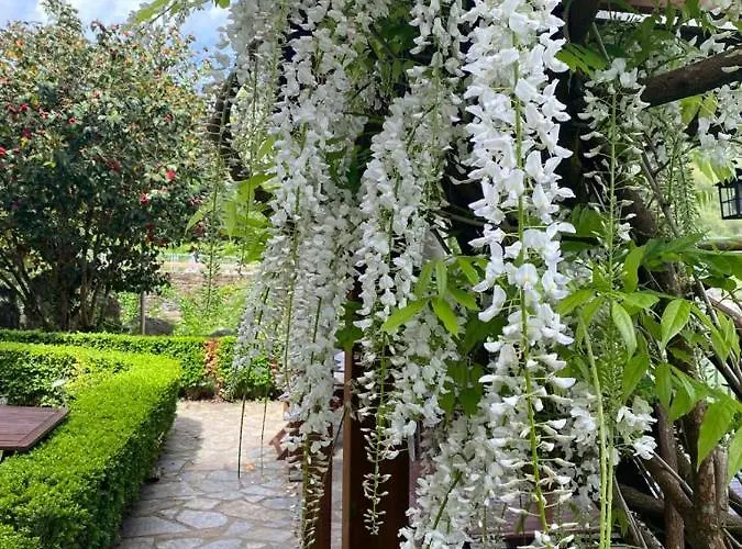 El Balcon Del Eume, Cantina Rio Coves 4*