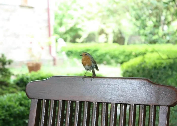 فندق مبيت وإفطار El Balcon Del Eume, Cantina Rio Coves 4*