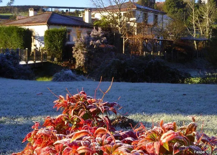 El Balcon Del Eume, Cantina Rio Coves